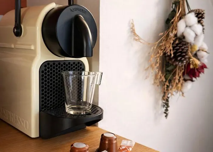 Le Cocon San Francisco Tours