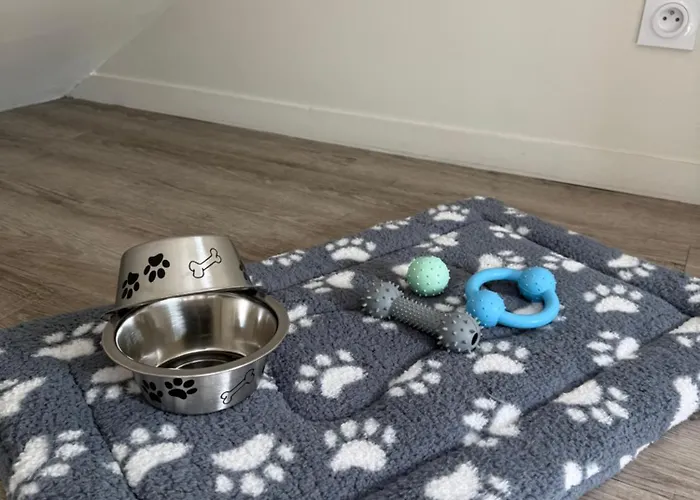 Apartmán Le Cocon San Francisco *